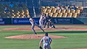 For this White Sox prospect, a HBP (or 40) comes with the territory