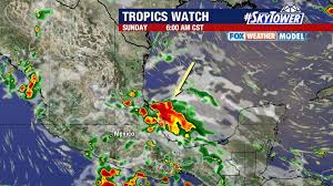 FOX 13 Tampa Bay - News update