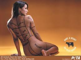 Image result for peta "rather go naked"