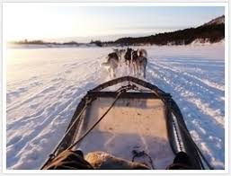 Image result for Oulu Finland landscapes