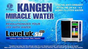 Image result for minum kangen water