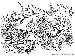 fish coloring pages ile ilgili görsel sonucu