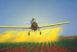 images?q=tbn:ANd9GcRDjgY2TCPlR66hXjJYvxOW8E1tc7z-vBITDwAra0KKkkoZEAyg