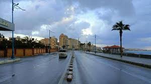 صحيفة الوطن - News update