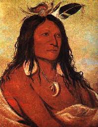 Image result for Comanche