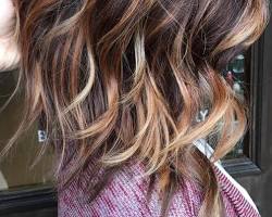 Image de Thick hair with colorful highlights