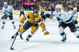 ‘He’s a gamer’: Knights defenseman eager to reunite with Rasmus Andersson