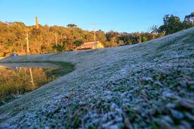 Frio avança e Paraná entra em alerta de geada; veja cidades com risco nesta quarta-feira