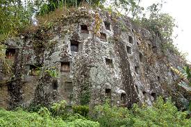 Image result for tana toraja