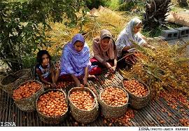 Image result for ������ ��������� ��� ���������
