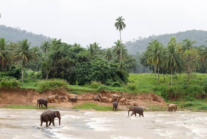 Hambantota