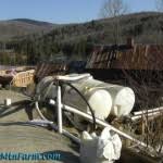 Image result for site:sugarmtnfarm.com trough OR barrel OR feeder OR tank OR waterer OR whey