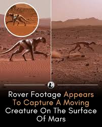 A newly circulated video from a rover camera on Mars has stunned viewers after appearing to show a small creature moving across the rocky terrain. The footage begins with a wide sH๏τ