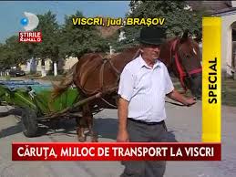 Imagini pentru imagini satul viscri