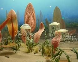 Imagem de Éon Proterozoico