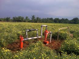 sıvı damlama gübresi uygulanışı ile ilgili görsel sonucu