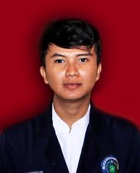 Erwin Maulana - chairussuud