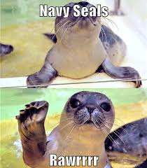 Image result for Animal Meme