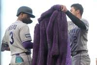Rockies Giants Baseball