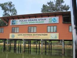 Image result for bukit merah
