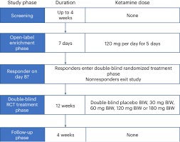 Exploring the Efficacy of Extended-Release Ketamine Tablets in Treatment-Resistant Depression: Results from a Phase 2 Clinical Trial - 10