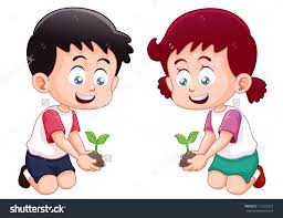 Image result for plant picture for kids