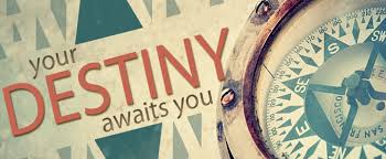 Image result for your destiny