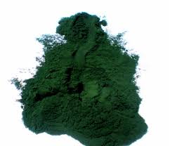 Image result for chlorella algae