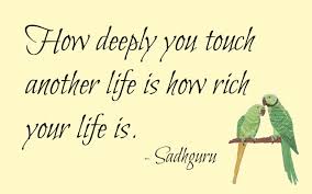 Image result for sadguru quotes