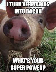 Image result for PIG ROAST FOR MUSLIMS