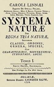 Image result for linnaeus