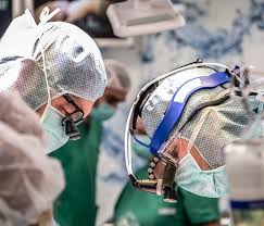 Trend Google: donazione di organi