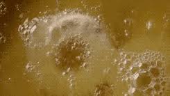 Image result for unicorn fart porn