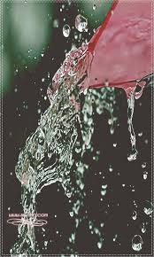 ���� ���� ������ �� ���� ������