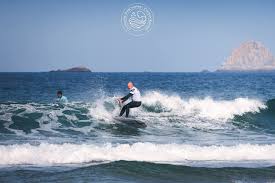 Fédération Française de Surf - News update