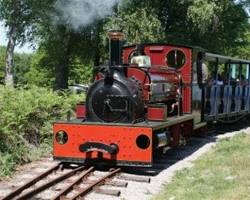 Hollycombe Steam Collection Gertrude locomotive