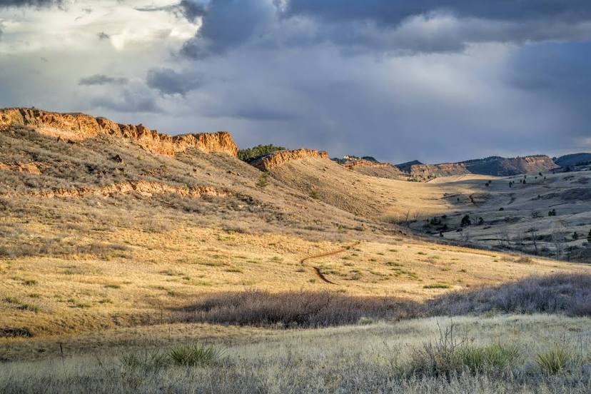 Moving Services in Fort Collins, CO