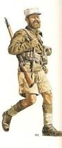 Image result for World Foreign Legions