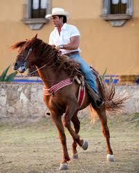 Resultado de imagen para imagenes de personajes de colunga