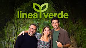 Trend Google: linea verde