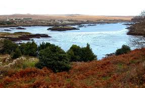 Picture of Costelloe