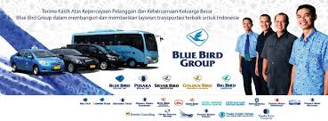 Hasil gambar untuk profil blue bird