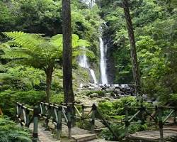 Image of Curug Cilember