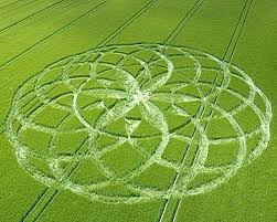 900+ Wondrous crop circle ideas | crop circle drawing ideas, geometric crop circles in fields, crop circle patterns on fields