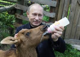 Image result for vladimir putin