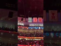 The moment D Rose was immortalized in the rafters 🥹 #derrickrose #chicagobulls