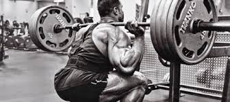 Resultado de imagem para pernas hipertrofia