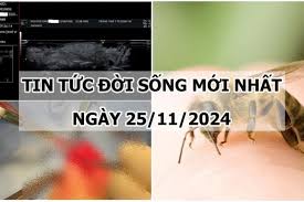 Tin tức đời sống 25/11/2024: Người đàn ông ngừng tim sau khi bị ong đốt