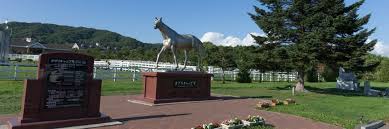 News source: 現代ビジネス