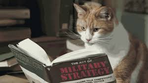 Hasil carian imej untuk kucing dan buku